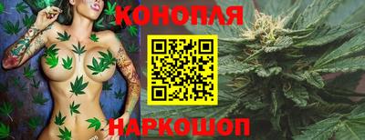 мяу мяу мука Славгород