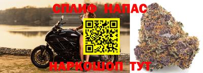 альфа пвп Сланцы
