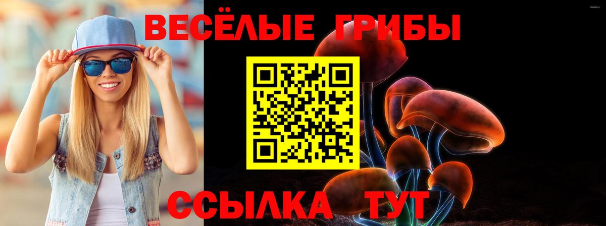 Псилоцибиновые грибы мухоморы  Псилоцибиновые грибы GOLDEN TEACHER  наркошоп  Воскресенск  Вход с VPN 